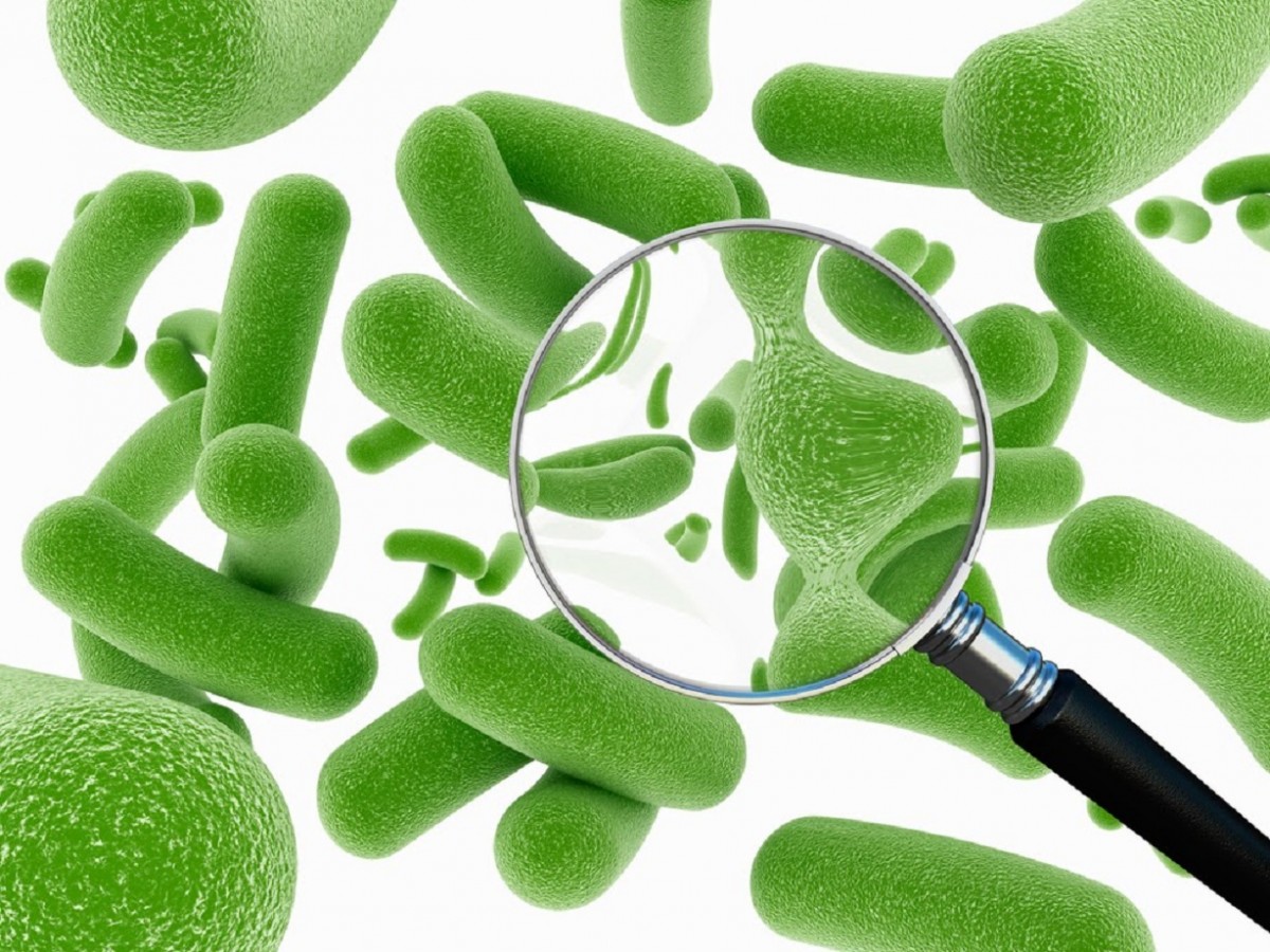 Uống prebiotic hoặc probiotic. Uống prebiotic hoặc probiotic