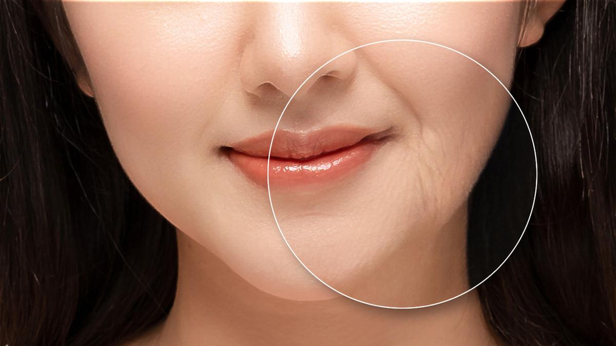 Lợi khuẩn đường ruột góp phần làm chậm quá trình lão hóa da
