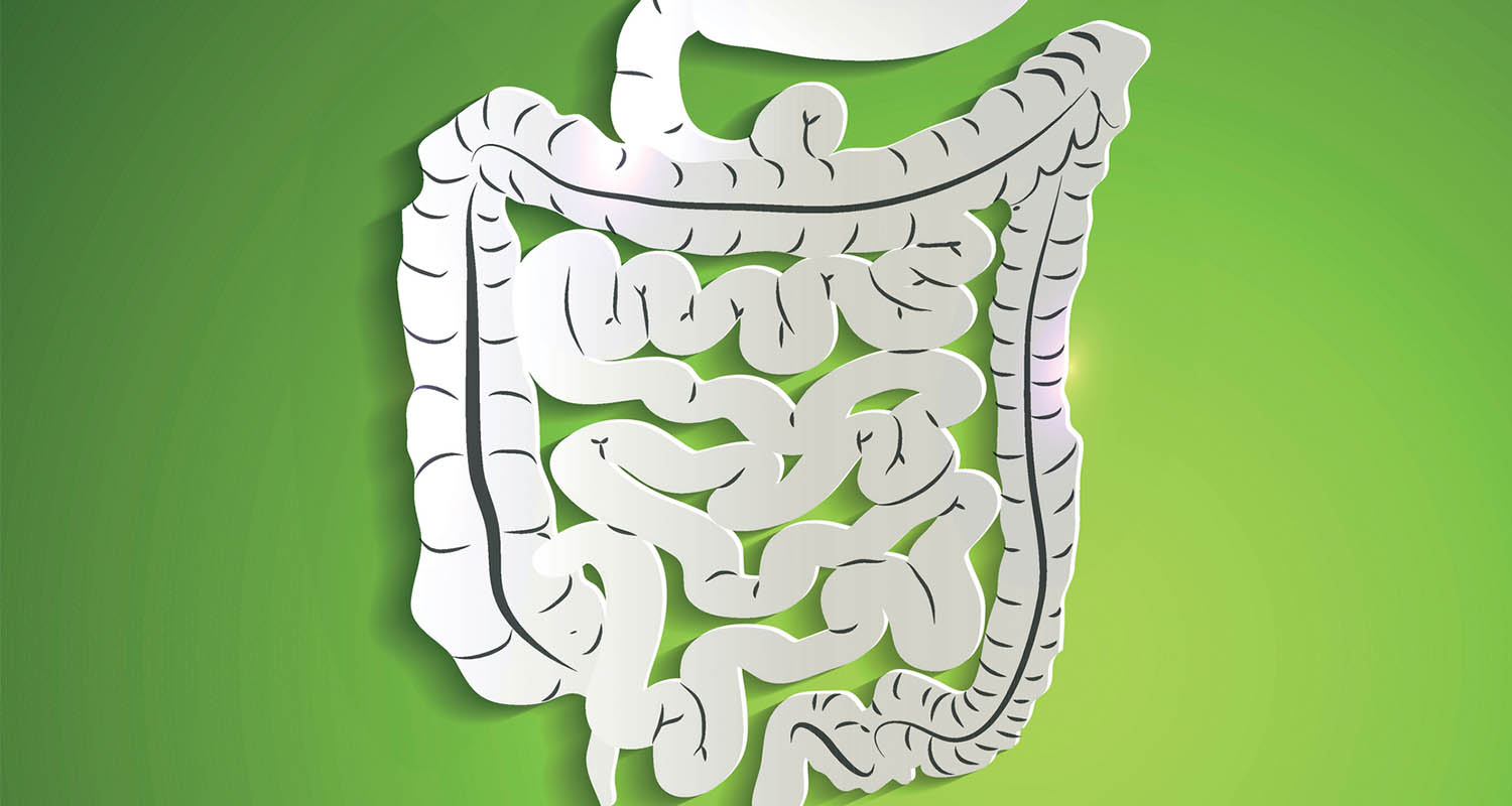 Men tiêu hóa là các enzyme được tiết ra bởi hệ tiêu hóa để phân giải các chất dinh dưỡng trong thức ăn thành các thành phần nhỏ hơn mà cơ thể có thể hấp thụ được. Men tiêu hóa là các enzyme được tiết ra bởi hệ tiêu hóa để phân giải các chất dinh dưỡng trong thức ăn thành các thành phần nhỏ hơn mà cơ thể có thể hấp thụ được.