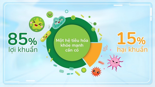 Tinh bột kháng - siêu thực phẩm cho hệ tiêu hóa khỏe mạnh