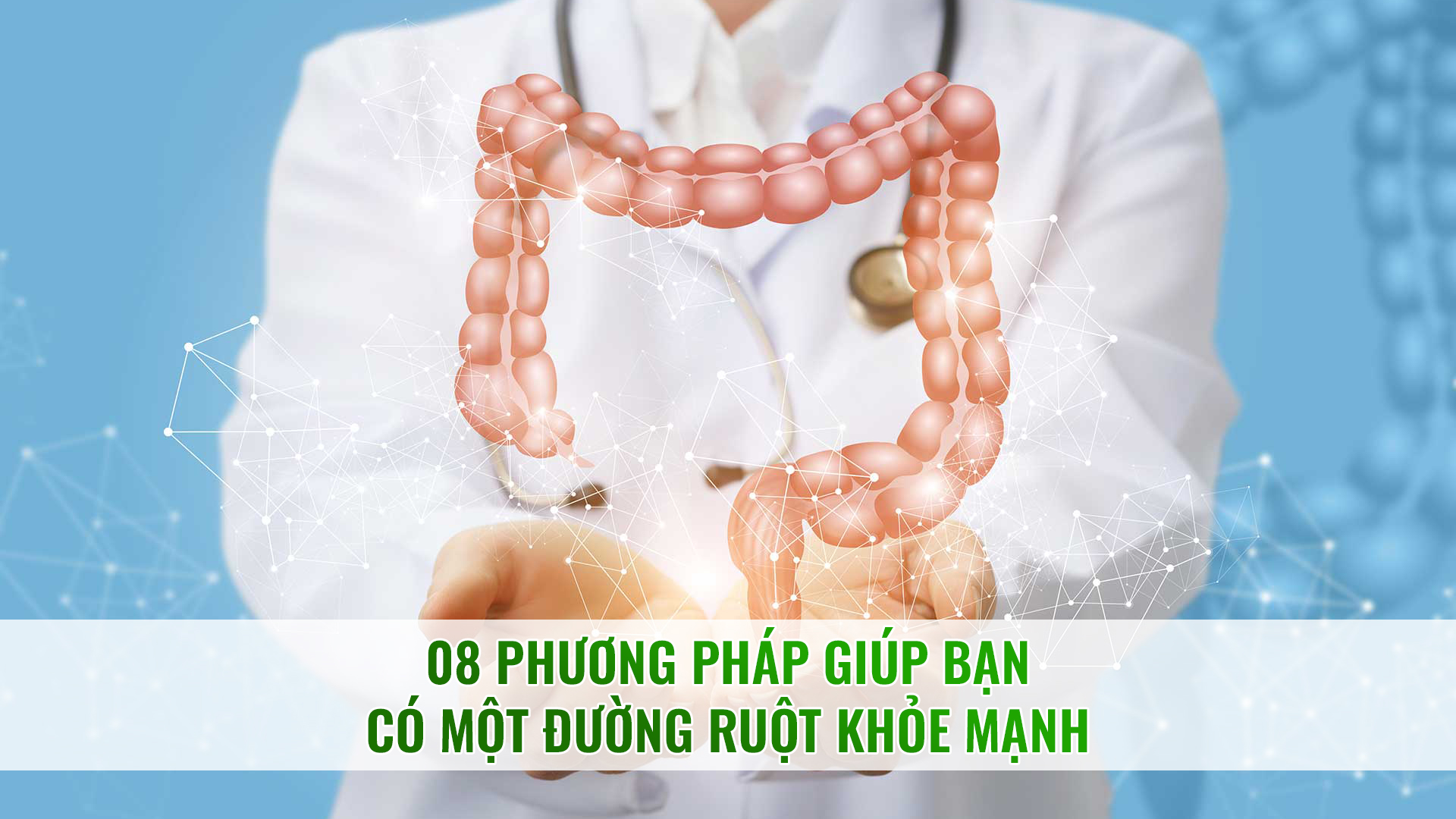 08 phương pháp giúp bạn có một đường ruột khỏe mạnh