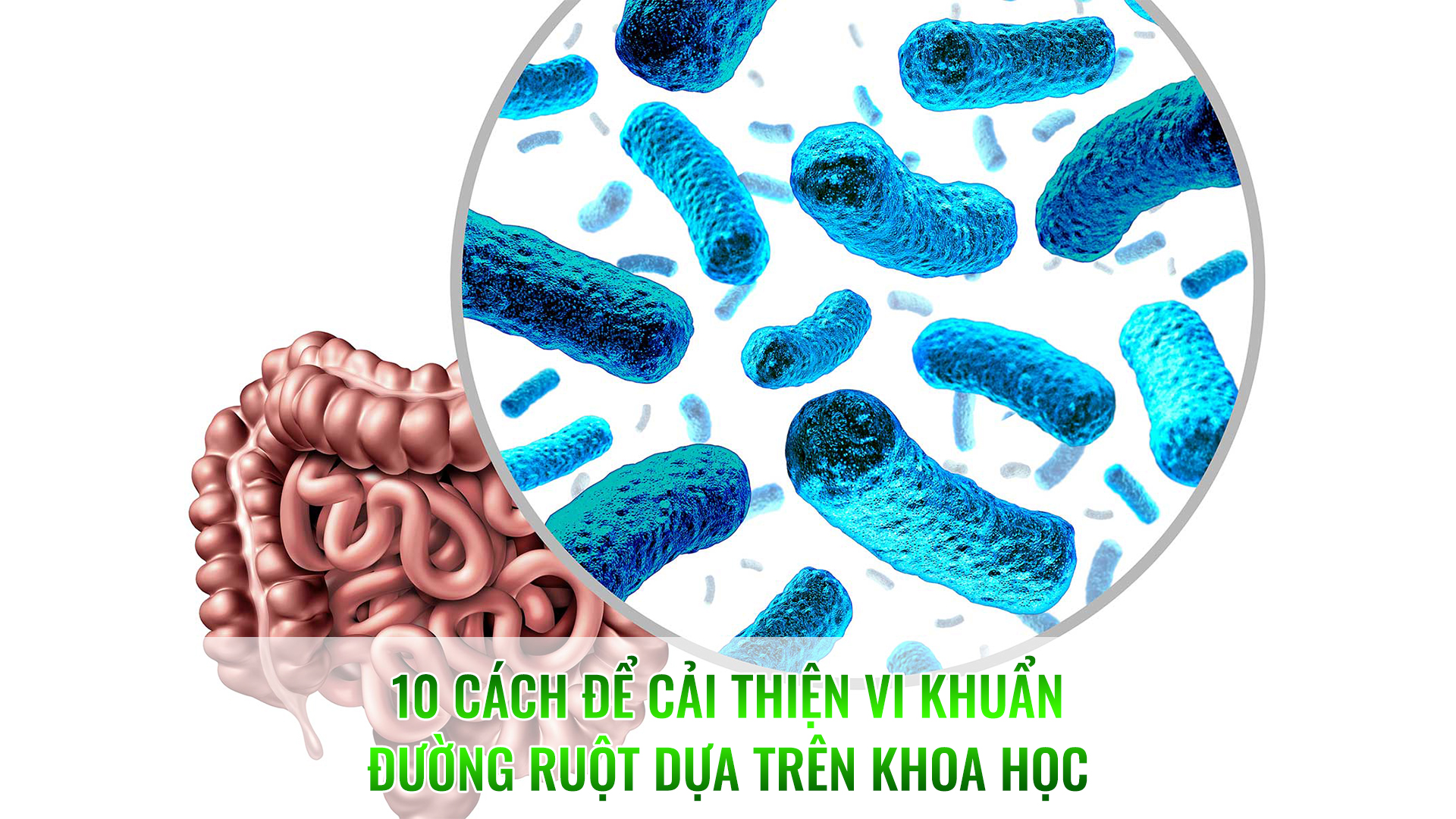 10 cách để cải thiện vi khuẩn đường ruột