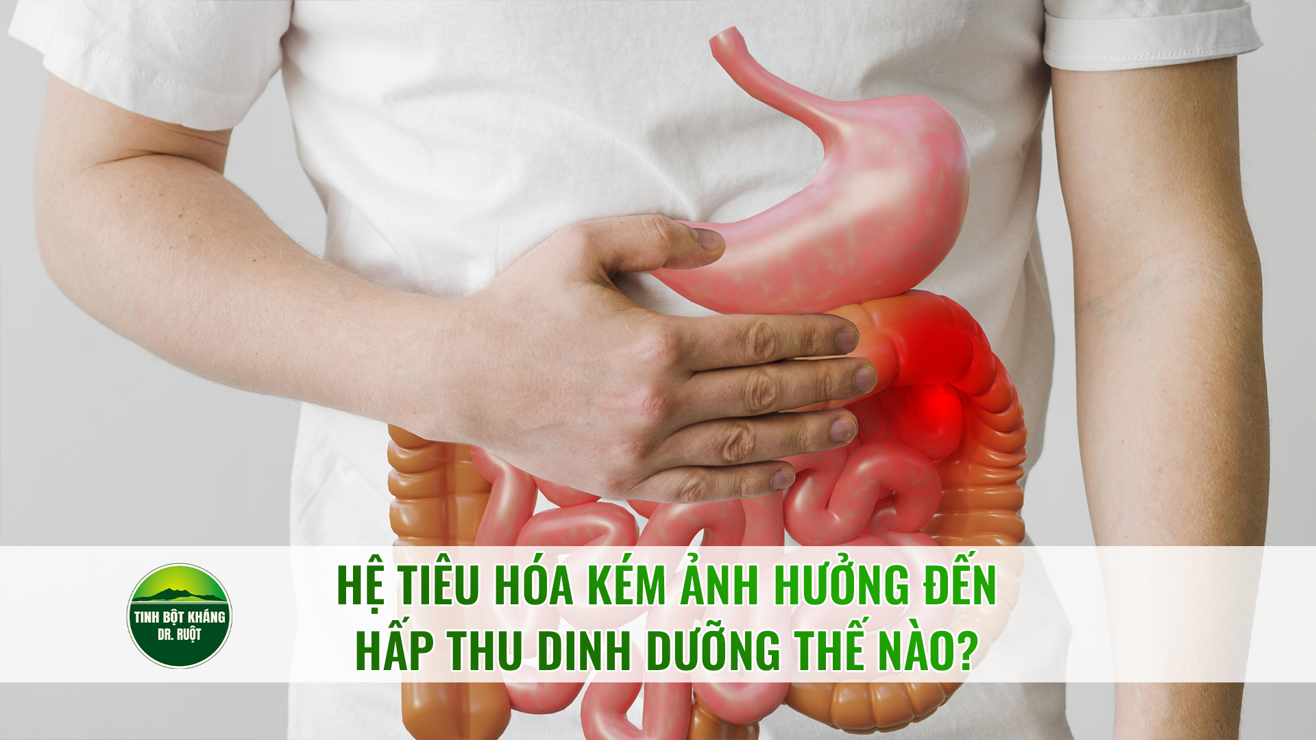 Hệ tiêu hóa kém ảnh hưởng đến hấp thu dinh dưỡng thế nào?