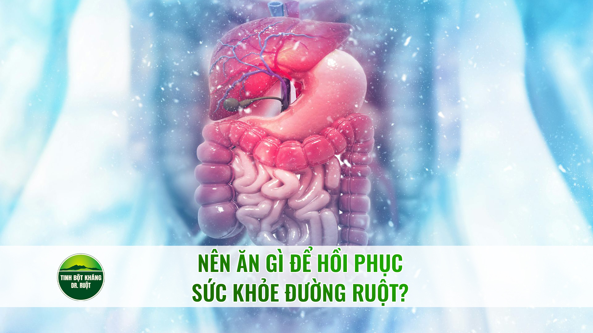 Nên-ăn-gì-để-hồi-phục-sức-khỏe-đường-ruột