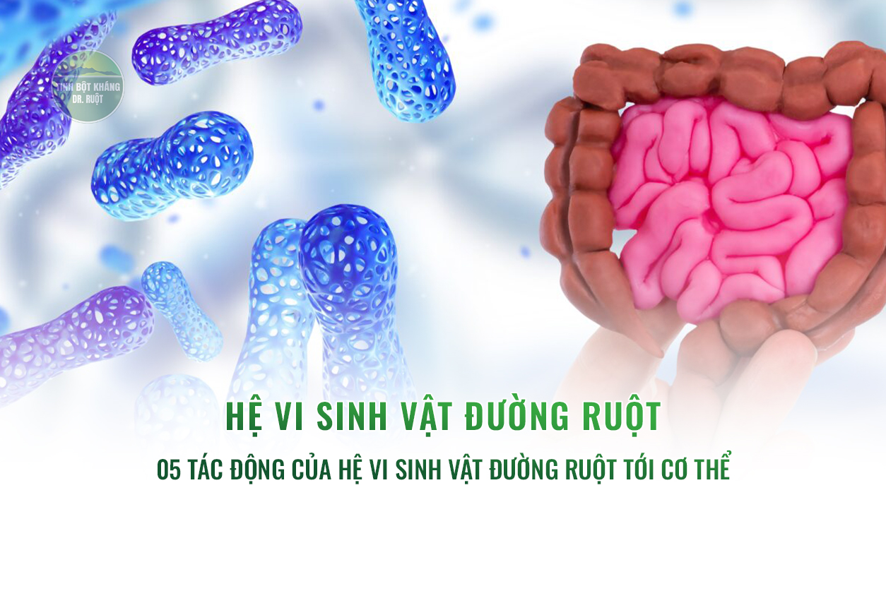 05 tác động của hệ vi sinh vật đường ruột tới cơ thể