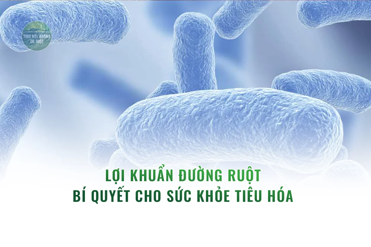 Lợi-khuẩn-đường-ruột---Bí-quyết-cho-sức-khỏe-tiêu-hóa