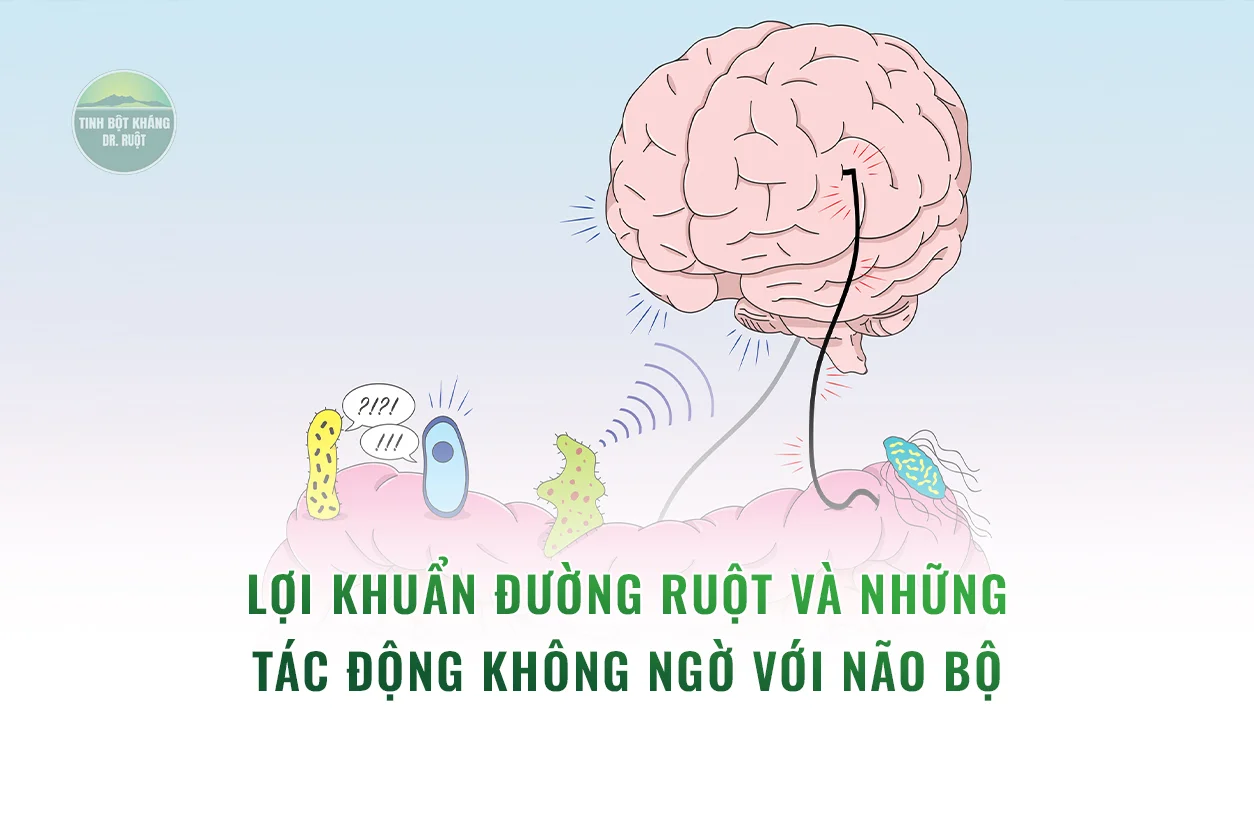 Lợi khuẩn đường ruột và những tác động không ngờ với não bộ