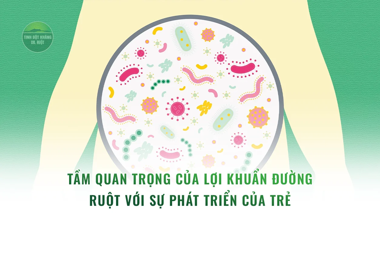 Tầm quan trọng của lợi khuẩn đường ruột với sự phát triển của trẻ