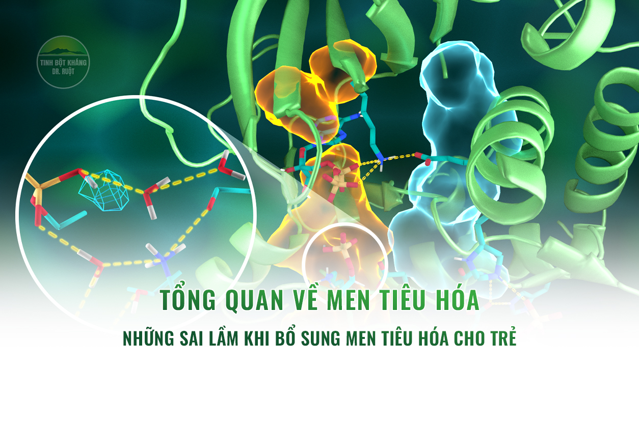 Tổng quan về men tiêu hóa - Những sai lầm khi bổ sung men tiêu hóa cho trẻ