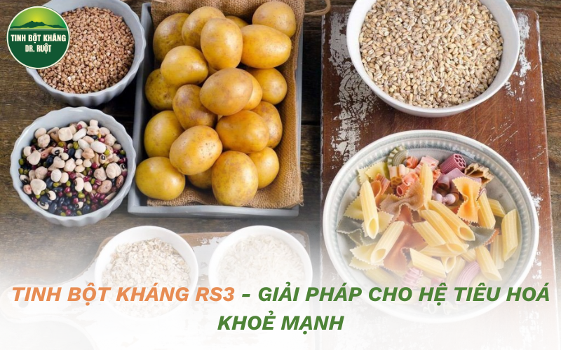 Tinh bột kháng RS3 – Giải pháp cho hệ tiêu hoá khoẻ mạnh